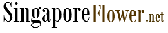 Singaporeflowernet