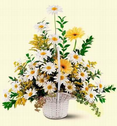 Taiwanfloristshop Funerals for Taiwan