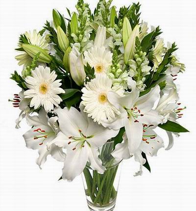 Chinafloristcn Lilies for China