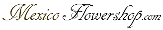 Mexicoflowershop