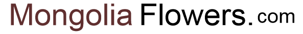 Mongoliaflowers