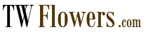 TWflowers