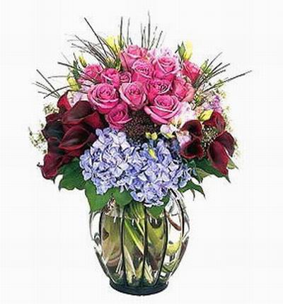 Imported (USA or Holland) pink Roses, burgandy Callas, purple light blue Hydrange, greenery