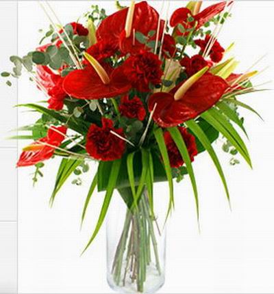 Bouquet of Anthurium and Carnations.