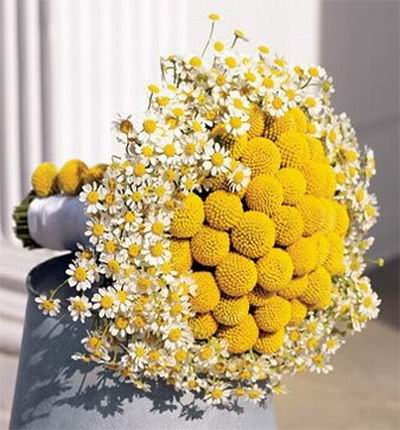 Ping Pong flower bouquet  (This flower is not always available and a substitution may apply)