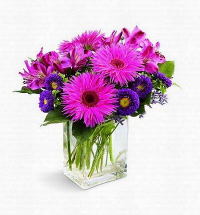 Spider Gerbera daisies are brilliantly fuchsia and beautifully offset by deep purple Matusmoto asters and alstroemeria. Arranged in a clear rectangular glass vase.