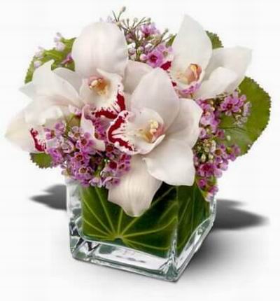 White orchids accented with tiny pink blossoms arranged in a leaflined glass cube vase.