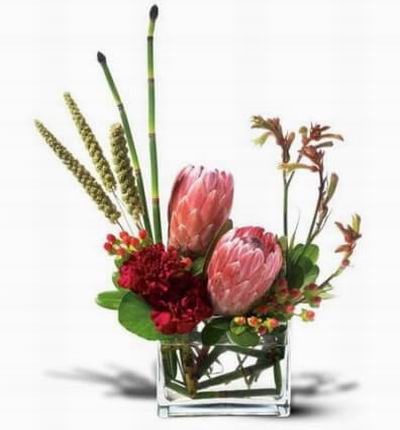 Rectangular vase filled with pink mink protea pink kangaroo paws burgundy carnations red hypericum.