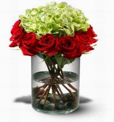 Red roses arranged in a ring around a cloud of fluffy green hydrangea and resting on a bed of black river rocks.