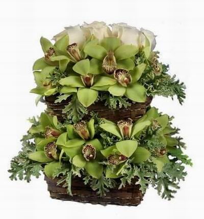 Green cymbidium orchids paired with lush blooms of deep ivory Vendela roses. The design is created in a two-tiered basket presentation.