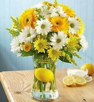 Brilliant yellow and white blooms, complete with an added twist of fresh lemons! Gerbera daisies, daisy poms and button poms, accented by solidago and salal.
