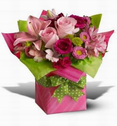 Pretty pink blossoms nestled snugly inside a giftwrapped box (if box not available substitute with wrapped vase)
