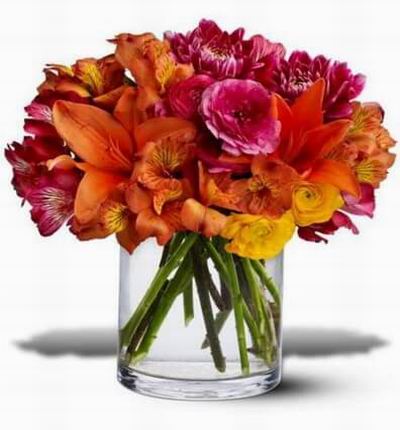 Dahlias Asiatic lilies and ranunculus in glorious shades of pink orange and yellow.