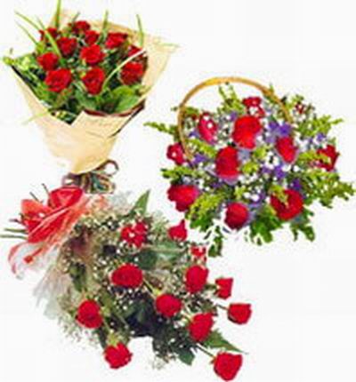 Send three times at any time, a dozen Roses in wrapping, a dozen Rose basket and a dozen Roses in plastic wrapping