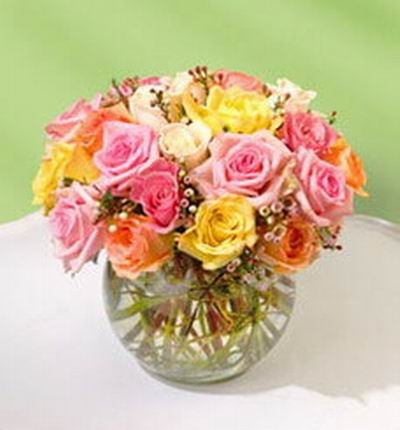 20 Pink,yellow,orange & champagne Roses and