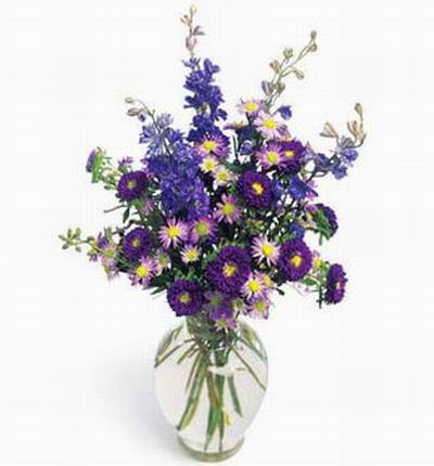 Purple Chrysanthemums and Stock