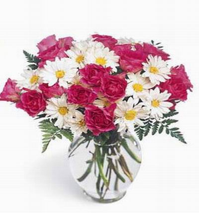 10 Pink Roses and white Chrysanthemums