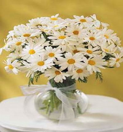 White Chrysanthemums  (please note that in Chinese custom, white flowers are used for funerals)