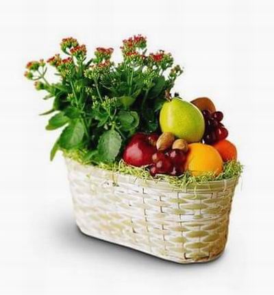A fruit plant basket with 1 red Apple, 1 Pear, 2 Orange, 1 Tangerine, Global Grapes and a flower plant.