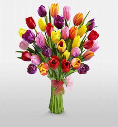 35 Mixed Tulips