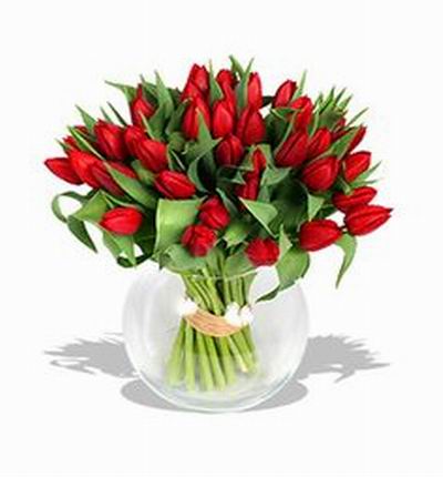 36 Red Tulips