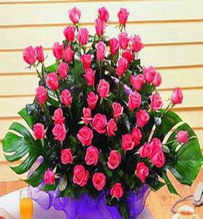 60 pink Roses in basket