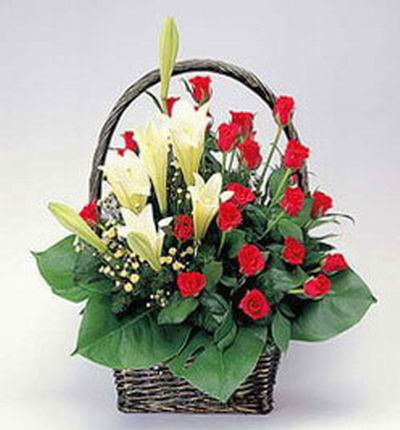 5 white Lily buds and 20 red Roses and Baby Breath in basket
