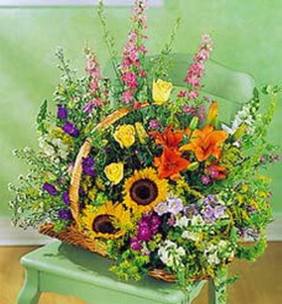 2 sunflowers, 3 yellow Roses, 3 orange Lily buds, Stock,  Statices and green fillers in basket