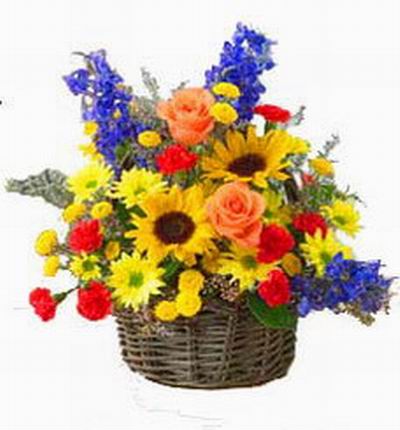 2 sunflowers, 2 orange Roses, yellow Chrysanthemums, 8 red Carnations, Stock, Hydrangea in basket