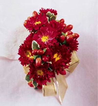 9 Red Cushions or Chrysanthemum