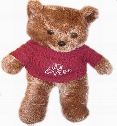 50cm Teddy Bear - Large