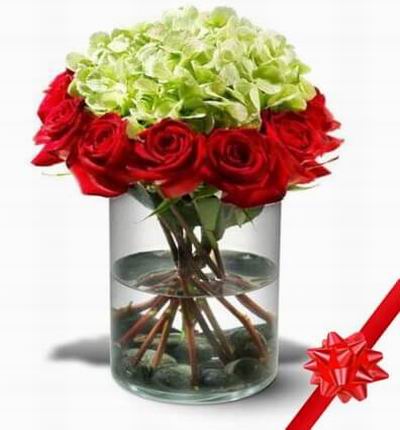 Red roses arranged in a ring around a cloud of fluffy green hydrangea and resting on a bed of black river rocks.