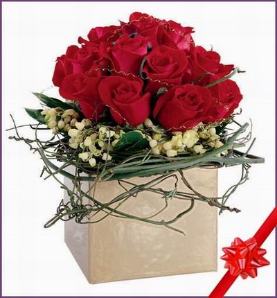 12 Roses with baby breath fillers in a wrapped gift box. Boxes may vary based on availability and a wrapped vase may be used as a substitution.