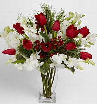 A bouquet of 10 red tulips, white dendrobium orchids, red hypericum, pine and holly.