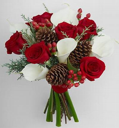 A bouquet of 6 red roses, 5 white calla llilies, red hypericum, 3 pinecones and holiday greens is wrapped with a red velvet ribbon.