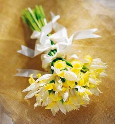 6 stems of white iris