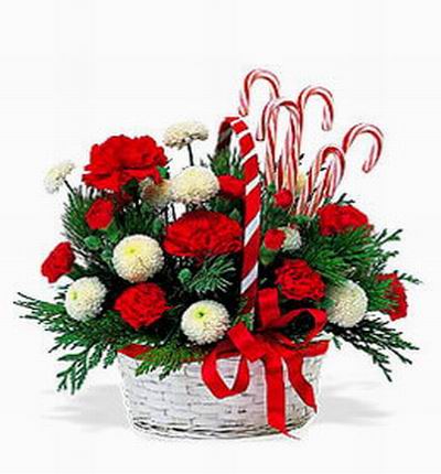 Christmas Flower Selection - Christmas red and white theme. Red Carnations, white echinops. Sugar canes will be replaced with flowers if not available