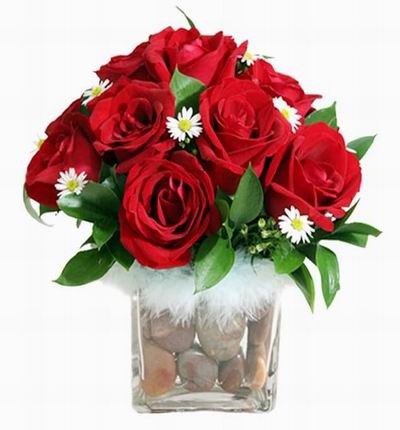 10 red Roses in vase with rocks. Vase is included. (discounted item)