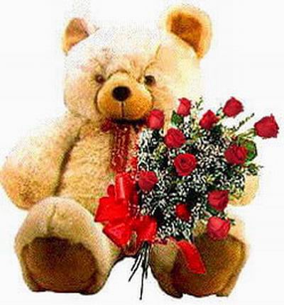 Extra Large Teddy Bear (approx  60 cm) with a dozen red Roses with Baby Breath
