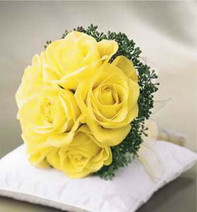 yellow Roses