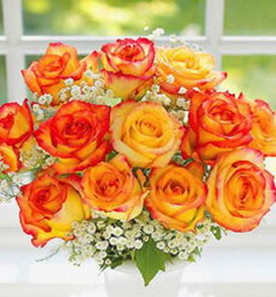 12 orange Roses and Baby Breath in clear crystal plastic wrapping
