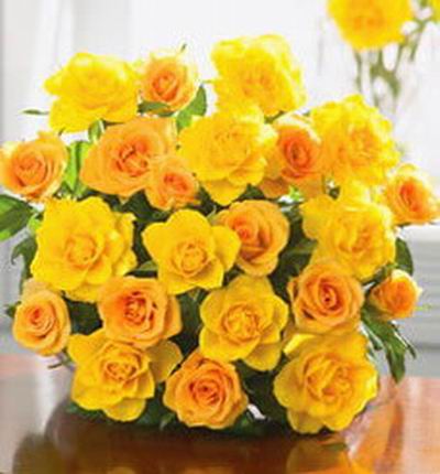 24 yellow Roses in clear crystal plastic wrapping