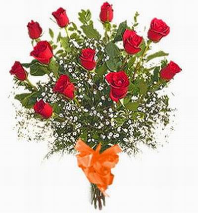 12 red Roses and Baby Breath (This may be an add-on or as a bouquet with crystal plastic wrapping)