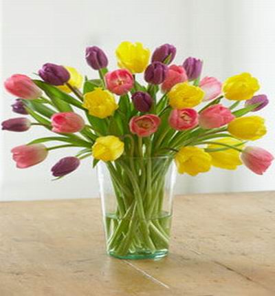 30 multi color Tulips. Pink, red and yellow Tulips