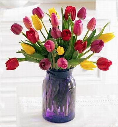 20 Tulips (yellow and purple)