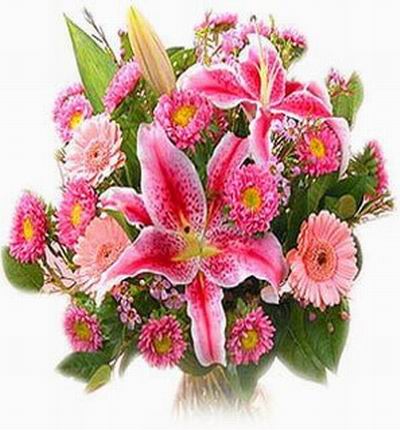 2 pink Lilies and 8 pink Chrysanthemumx mix in clear crystal plastic wrapping