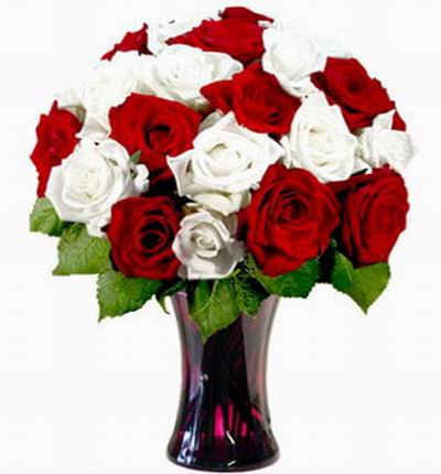 10 white Roses and 10 red Roses