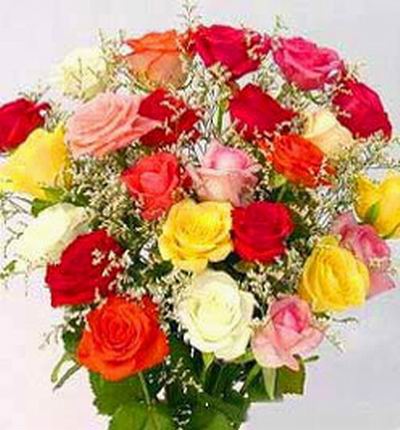 24 pink,orange,yellow,white & red Roses mix in clear crystal plastic wrapping