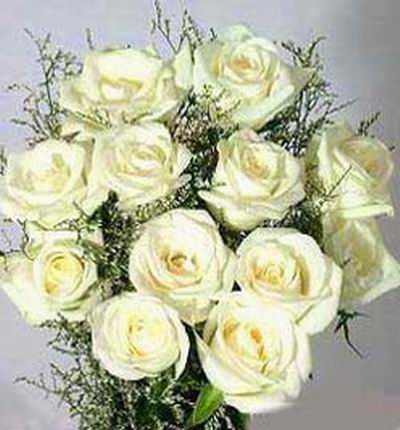 12 imported white Roses (mainly from USA or Holland) in clear crystal plastic wrapping