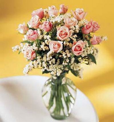16 pink Roses and montecasion or Baby Breath